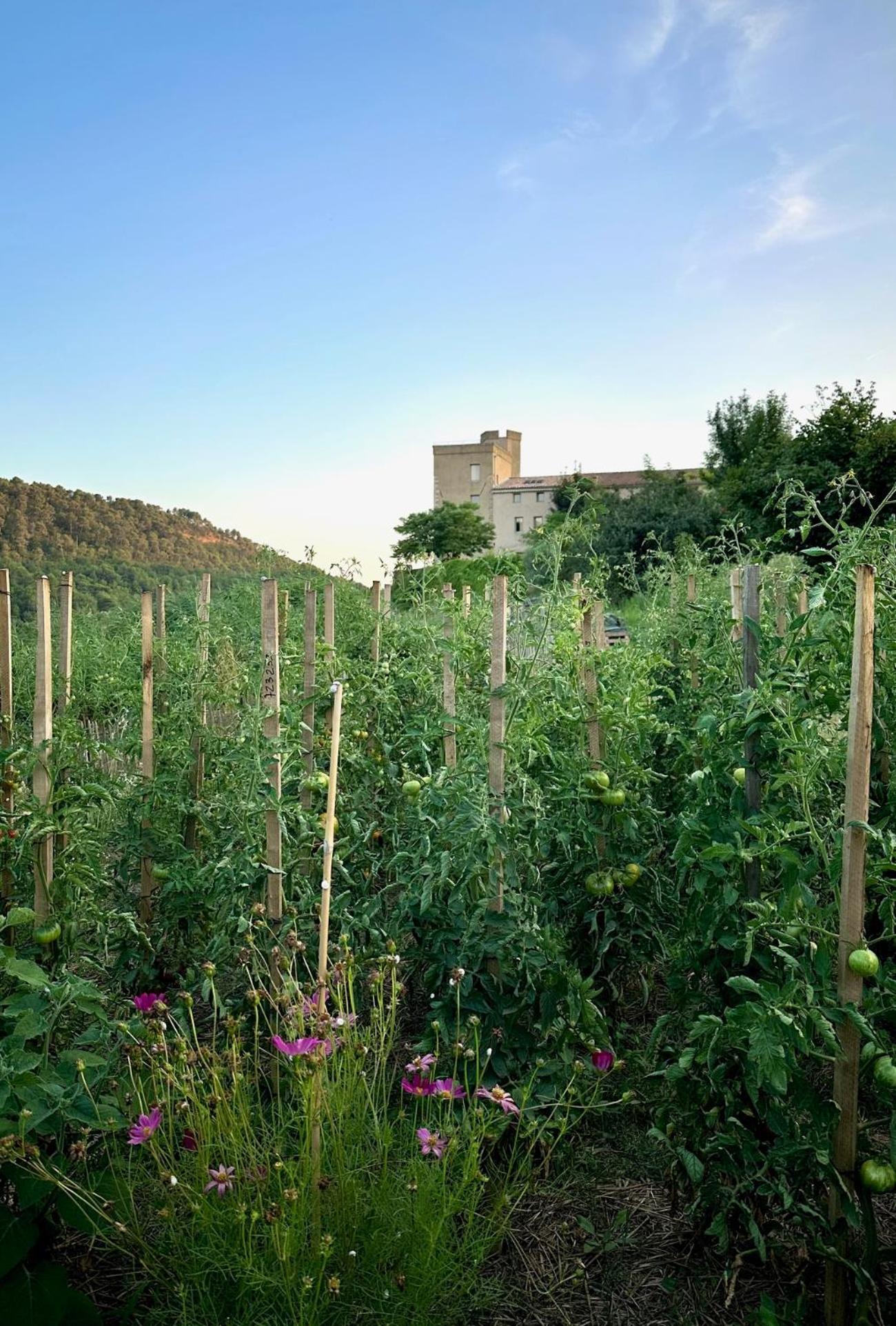 Bed and Breakfast Domaine La Ferme Hi Bride Villelaure Exteriér fotografie